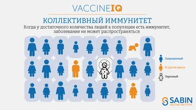 Читать статья № 9: как работает иммунитет? коротко о принципах работы  иммунитета от Логосферы на medpublishing