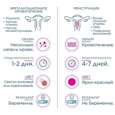 Месячные идут два раза в месяц: норма или нарушение?