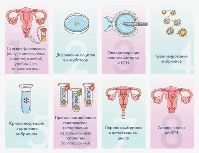 Кровь во время овуляции - норма или патология