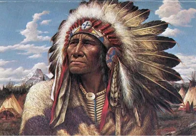 Индейцы Северной Америки. Быт, религия, культура, Джон Мэнчип Уайт –  скачать книгу fb2, epub, pdf на ЛитРес