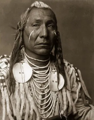 Настоящие американцы. Подборка слегка пугающих портретов индейцев Северной  Америки | Фотоблог №1005001 | Дзен