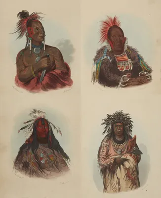 Читать онлайн «Индейцы Северной Америки. Быт, религия, культура», Джон  Мэнчип Уайт – Литрес