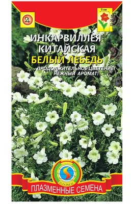 Фото Инкарвиллеи: ощутите нежность и утонченность природы