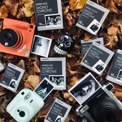 Fujifilm Instax Mini 12 review: Instantly print out nostalgia -  BusinessToday