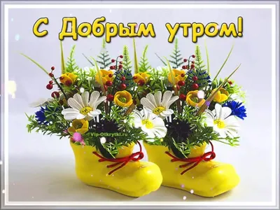 С добрым утром!#видеооткрытка #открыткасдобрымутром#открытка #рекоменд... |  TikTok