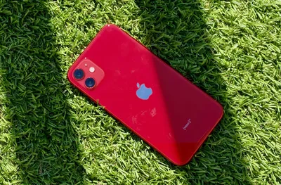 iPhone 14 vs iPhone 11: Apple's older phone is still an excellent upgrade |  Macworld