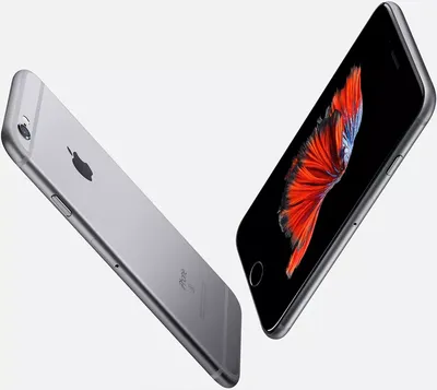 Смартфон Apple iPhone 6s 32GB Space Gray - купить по лучшей цене в Алматы |  интернет-магазин Технодом