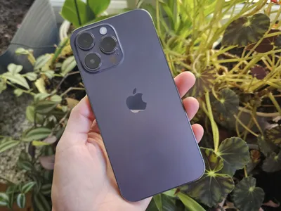 космический серый Iphone 8 · Бесплатные стоковые фото