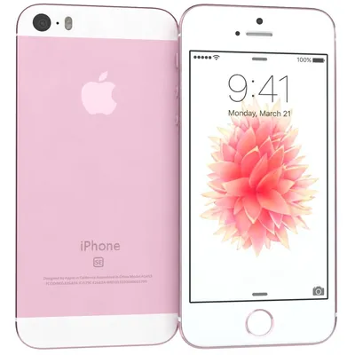 Силиконовый чехол для iPhone 5/5S/SE с принтом «Розовая цветочная рамка» —  купить в интернет-магазине Case Place