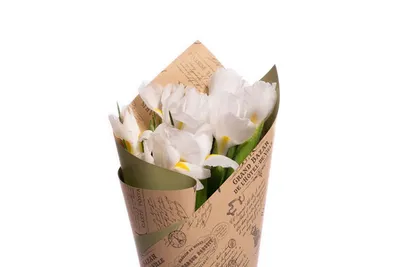 все белый бородатый ирис германика цветок Стоковое Изображение -  изображение насчитывающей флористическо, деталь: 222447085