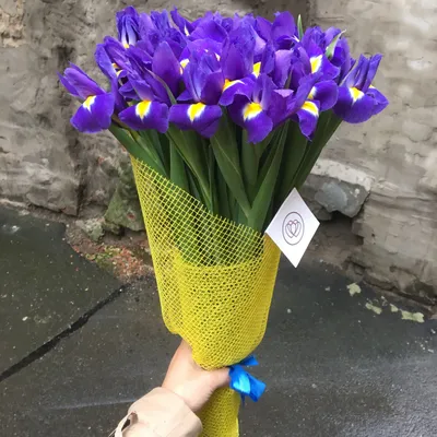 Цветы Ирисы-любое количество доставка Владивосток Цветочный король доставка