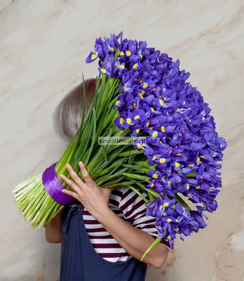 Ирисы (Цвет на выбор)» белые или синие ирисы поштучно в Зернограде