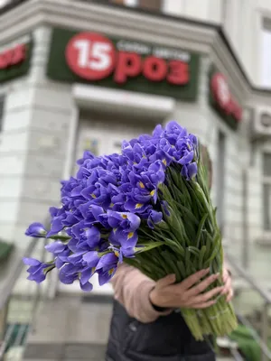 Ирис, доставка цветов по городу в течение 1 часа - ЦветкоFF Тюмень