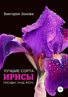 Синие ирисы с желтыми тюльпанами в коробке за 19 490 руб. | Бесплатная  доставка цветов по Москве