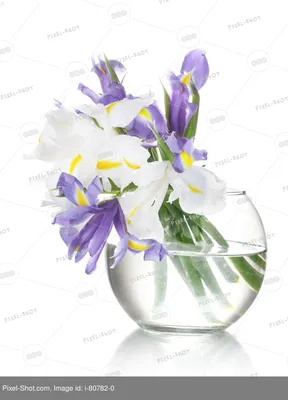 Красивые яркие ирисы в вазе на белом :: Стоковая фотография :: Pixel-Shot  Studio