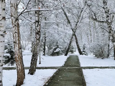 Зимний Иркутск