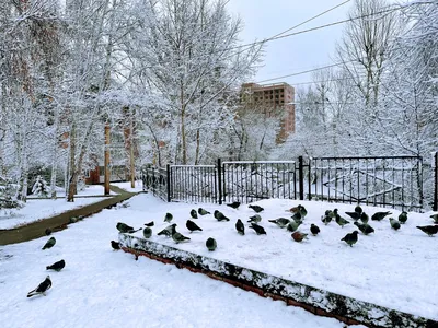 Погода ухудшится в Иркутске к вечеру 16 ноября — Иркутск Сегодня