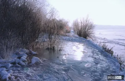 File:Река Нежеголь зимой.jpg - Wikipedia