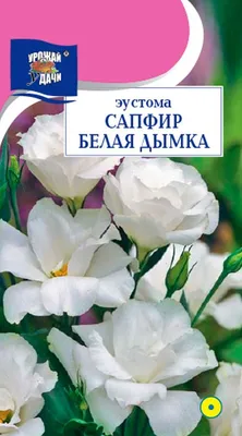 Eustoma ARENA ® FLASH PINK (Эустома, Лизиантус): купить 3 семени c  доставкой почтой 🌸 Адениум дома