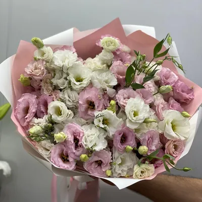 Eustoma GRANDIFLORUM ® ABC 'MISTY PINK' (Эустома, Лизиантус): купить 3  семени c доставкой почтой 🌸 Адениум дома