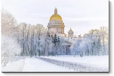 Исаакиевский собор зимой