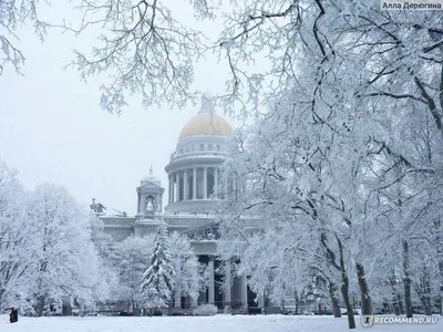 Исаакиевский собор и зимняя сказка после снегопада... | Афиша  Санкт-Петербурга | ВКонтакте | Красивые места, Соборы, Туризм