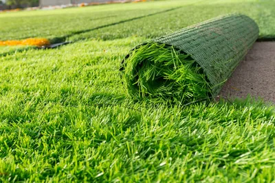 Искусственный газон, искусственная трава 150х550 см (1,5х5,5 метра), ворс  6мм. - купить с доставкой по выгодным ценам в интернет-магазине OZON  (569642535)