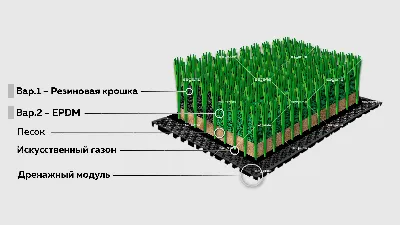 Газон искусственный 30 мм L (2 метра ) : купить по низкой цене в  интернет-магазине Komfort в Алматы, Нур-Султане, Казахстане