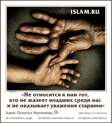 Исламские открытки | islam.ru