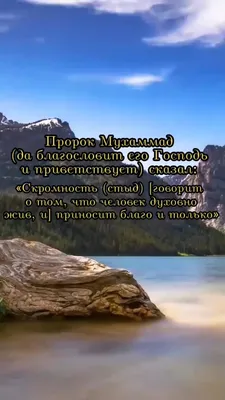 Hikma Сахих Аль Бухари сборник хадисов / хадисы ислам