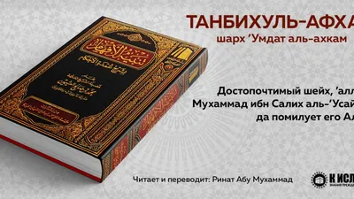 ислам #хадис #рай #аятульКурси #islam #hadith | Мудрость Великих Мусульман  | ВКонтакте