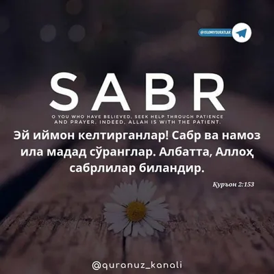 Творческие Переводные картинки Sabr, исламское искусство, автомобильные  наклейки, каллиграфия, виниловые зеленые, черные/серебряные, 13 см * 9 см |  AliExpress