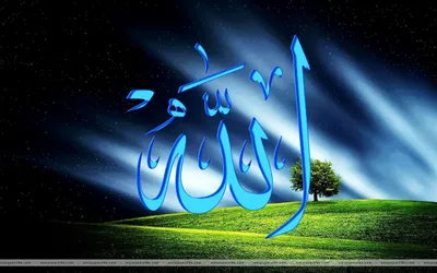 365 дней - Ислам on X: \"Читайте Коран, извлекайте пользу из его смыслов...  #сура #альКамар #Луна #СвященныйКоран #аят #Аллах #ислам #мусульмане  #Господьмиров #низводить #обильный #дождь #люди #терять #надежда  #мусульманскийкалендарь ...