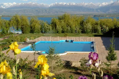 Befly Travel - 🔆 Иссык-куль Отели и Пансионаты 3 дня-30$ c питанием  12.07🔆 ✓Алтын - Кум-30$ FB ✓❗Акция Отель недели❗ Asia Palace корпус  (с.Сары-Ой - Карвен 4сезона) - 32$ FB Asia Palace