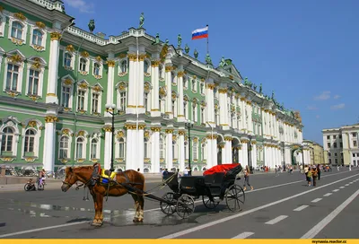 Названы 5 достопримечательностей Санкт-Петербурга, которые могут затмить исторический  центр города - KP.RU