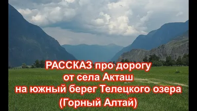 Южный берег Телецкого озера :: Александр Тагин – Социальная сеть ФотоКто