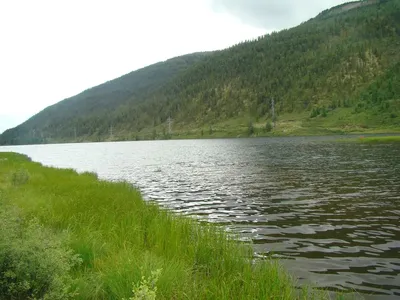 Телецкое озеро, Алтай. Отдых, базы отдыха, рыбалка, фото озера, отзывы,  особенности, как добраться– Туристер.Ру