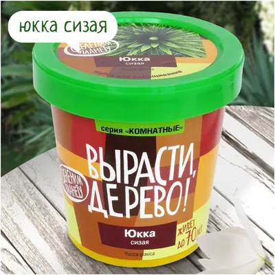 Юкка (Jucca) — путеводитель по отдыху в Крыму