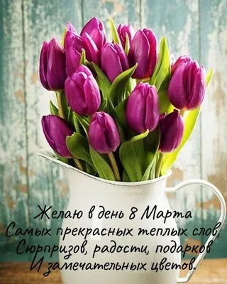 Прикольные поздравления с 8 марта женщине | Кого поздравим? | Дзен