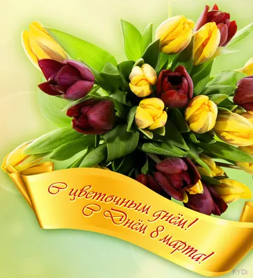 Загрузите смешные фото на 8 марта: JPG, PNG, WebP | Смешные 8 марта Фото  №908855 скачать