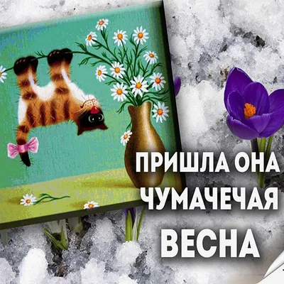 Сняли с Арсением для вас юморные вайны-приколы с нашим участием 😂 Уржались  пока снимали и монтировали! Не терпится вам показать) Как… | Instagram