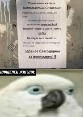 ВесельеОтДуши.Самые отборные юморные анекдоты. Смешнее не бывает! - купить  книгу с доставкой в интернет-магазине «Читай-город». ISBN: 978-5-17-983332-1