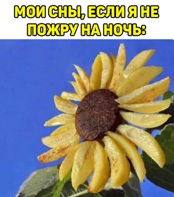 Самые юморные студенты Академии учатся в Институте прокуратуры! — ИНСТИТУТ  ПРОКУРАТУРЫ
