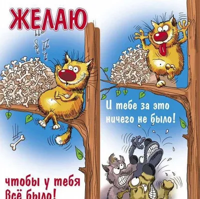 Юморные надписи на пачках сигарет | Пикабу