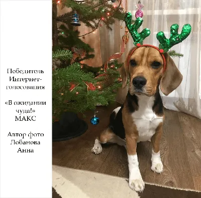 Юморные, шуточные видео, музыкальные номера, связанные с продажами,  обслуживанием, в целом работе ″человек-человек″. – смотреть онлайн все 69  видео от Юморные, шуточные видео, музыкальные номера, связанные с  продажами, обслуживанием, в целом работе ″