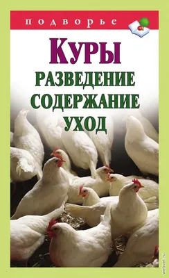 Инкубационное яйцо купить на Зозу.ру