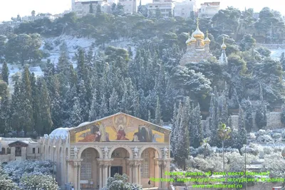 Я люблю Израиль - Зима в Эйлате торжествует | Facebook