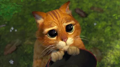 Игрушка декоративная Кот \"Извини если чё\" с присосками на стекло - купить  по выгодным ценам в интернет-магазине OZON (215275306)