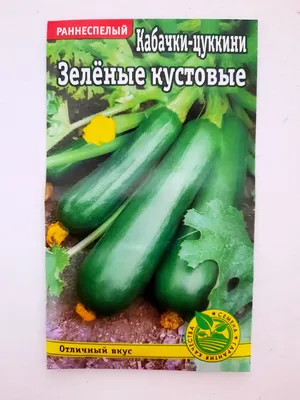 Кабачок кустовой Якорь