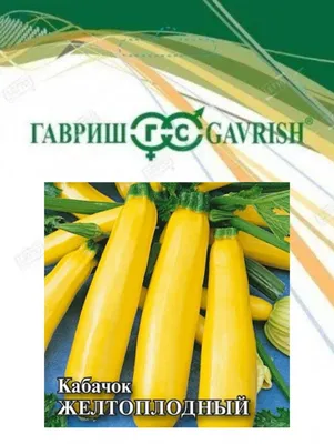 Кабачок кустовой в Минске. Сравнить цены и поставщиков промышленных товаров  на маркетплейсе Deal.by